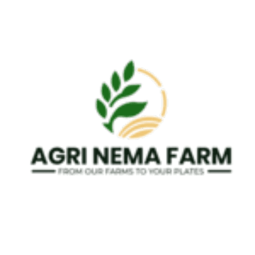 Instant form site logo