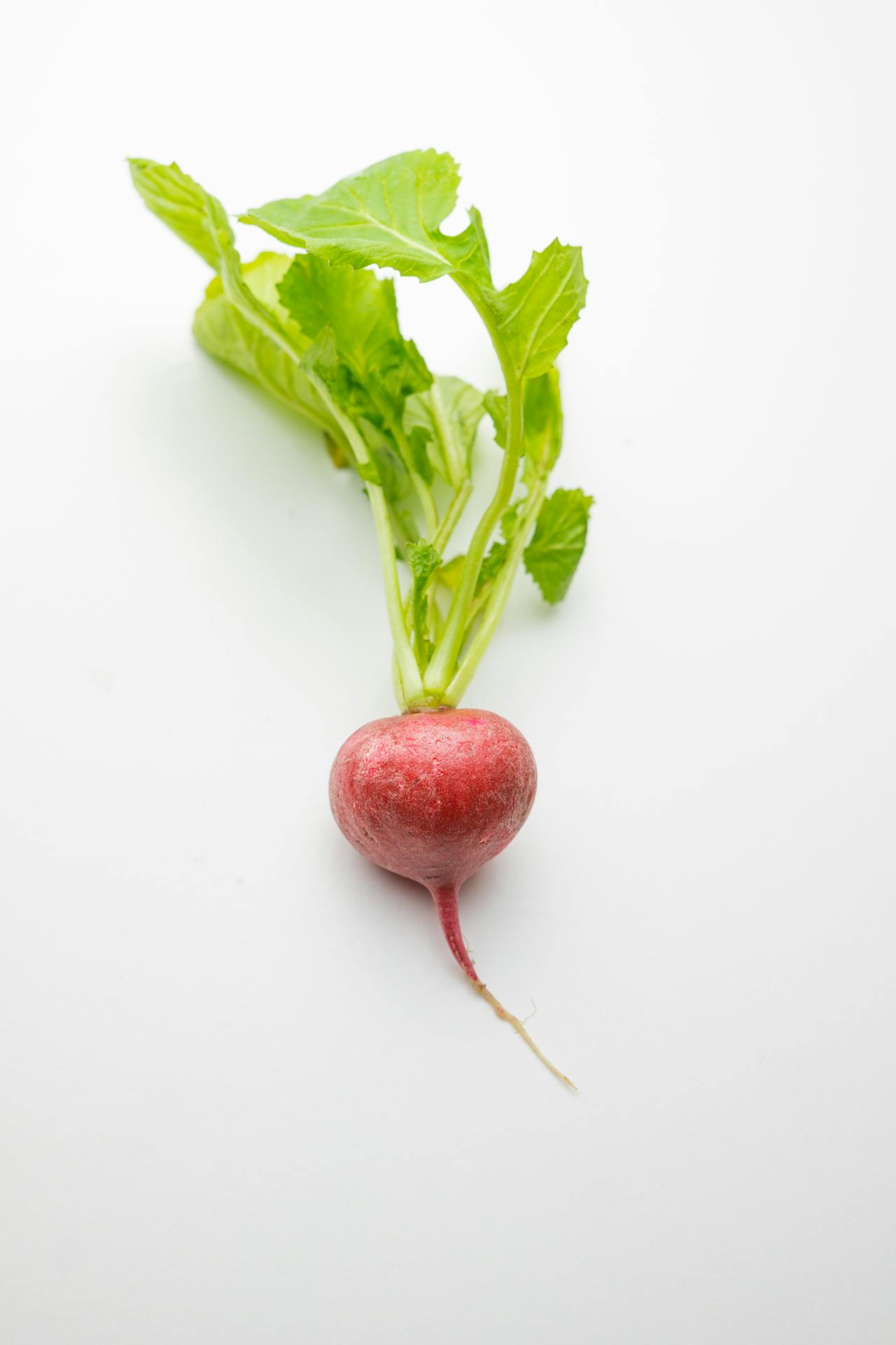 Beetroot